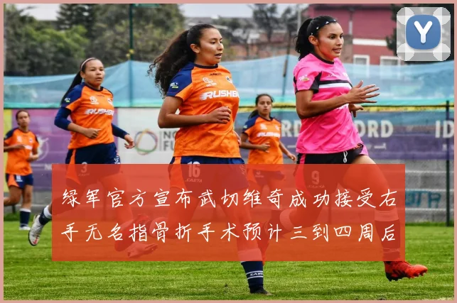 绿军官方宣布武切维奇成功接受右手无名指骨折手术预计三到四周后复查